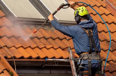 Démoussage et hydrofuge de toiture à Brassempouy